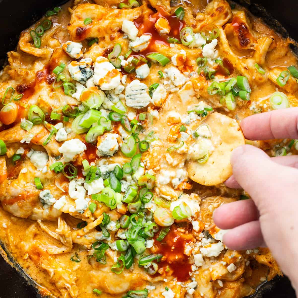 Cottage Cheese Buffalo Chicken Dip PHealthX